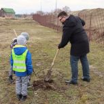 Акция по посадке деревьев прошла в Ядринском «Старом городе»