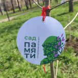 В Луганске активисты «Единой России» высадили деревья в память о Героях Великой Отечественной войны