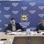 Форумы для малого и среднего бизнеса проведут в Херсонской области при поддержке «Единой России»