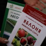 Абинский район передал в Херсонскую область саженцы деревьев