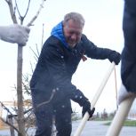 «Субботники стали доброй традицией»: петербургские единороссы присоединились к общегородскому Дню благоустройства