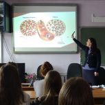 Студентам Печенгского политехнического техникума рассказали о донорстве костного мозга