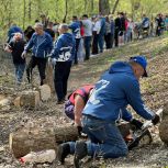 Самый массовый за последнее время субботник «Единой России» прошел в Великих Луках