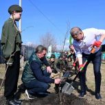В Башкортостане продолжается весенняя посадка деревьев