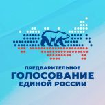 В Челябинской области завершилась регистрация кандидатов на предварительное голосование «Единой России»