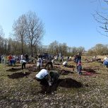 "Сад памяти" появился в парке "Красное поле"