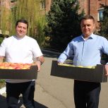 Ставропольские единороссы передали гуманитарную помощь одному из госпиталей ЛНР