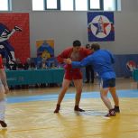 В Домодедове состоялся Кубок МЧС России по самбо при поддержке партии «Единая Россия»