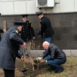 В Приморье стартовала международная акция «Сад памяти»