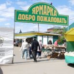Ярмарка местных товаропроизводителей прошла в Котовске