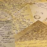 В Курганской области написали Диктант Победы