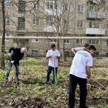 В Саратове и области сторонники «Единой России» вышли на субботник