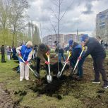 Новые аллеи, липы и 2200 сосен: как Башкортостан провел Всероссийский субботник