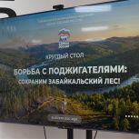 В Штабе общественной поддержки «Единой России» прошел круглый стол, посвященный борьбе с поджигателями