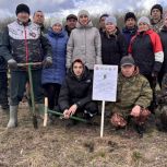 В Аксубаево стартовала акция «Сад памяти»