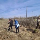 В рамках партийного проекта «Чистая страна» единороссы организуют весенние субботники