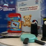 В Красноярском крае «Единая Россия» запустила акцию «Для детей Донбасса с теплом из Сибири»
