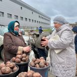 В Ульяновске завершился весенний сезон сельскохозяйственных ярмарок