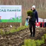 В Самарской области акцию "Сад памяти" посвятили 65-летию первого полета человека в космос