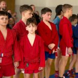 В Торезе прошло открытое городское первенство по самбо памяти А. Г. Стаханова