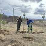 Депутаты Единой России участвуют в экологических акциях