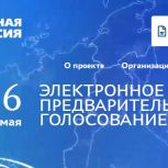 Список участников предварительного голосования «Единой России» пополнился 35 кандидатами