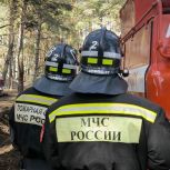 Первые лица региона поздравили воронежских огнеборцев с Днем пожарной охраны