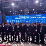 «МАЛАЯ РОДИНА — СИЛА РОССИИ»: представителей Волгоградской области отметили наградами за развитие муниципальных образований