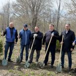 Единороссы и молодогвардейцы провели субботники в регионах в преддверии Дня Победы