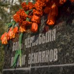 «Молодая Гвардия Единой России» проводит мероприятия ко Дню памяти погибших в радиационных авариях и катастрофах по всей стране