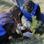 В оренбургском «Качкарском маре» высадили 200 саженцев