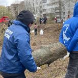 Во Владимирской области — генеральная уборка