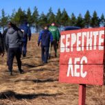 В Магнитогорске дан старт экологической акции - созданию «Зелёного пояса»