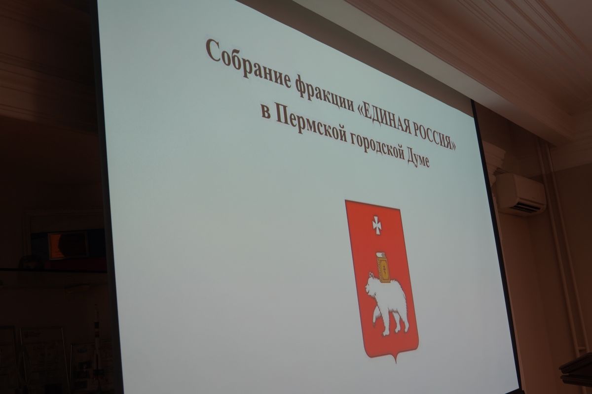 В Пермской гордуме подвели промежуточные итоги партпроекта «Зеленая экономика»