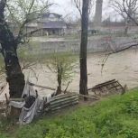 В Урус-Мартановском районе более тысячи волонтеров задействованы в поисках пропавшего мужчины