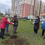 В саратовском парке Изумрудный появилась новая аллея