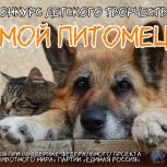 «Единая Россия» проводит творческий конкурс «Мой питомец»