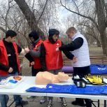 В парке «Изумрудный» проходит масштабный фестиваль здоровья
