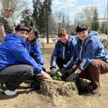 «Зелёная экономика» – уютный город: яркие петунии раскрасили улицы Тореза