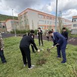 По инициативе Османа Булатова в школе Махачкалы появился «Сад памяти»