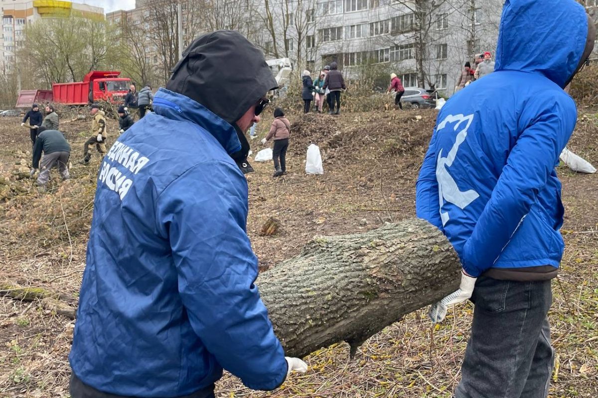 Во Владимирской области — генеральная уборка