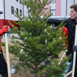 Лидер краевых единороссов принял участие в общегородском субботнике во Владивостоке