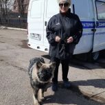 Массовая вакцинация и учет домашних животных: в Стерлитамакском районе побывал ветеринарный «Поезд здоровья»