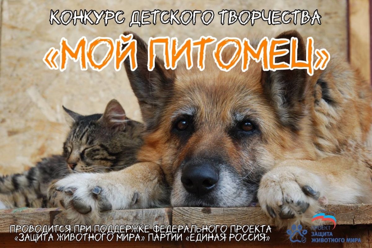 «Единая Россия» проводит творческий конкурс «Мой питомец»