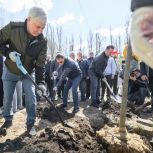 «Единая Россия» провела масштабную экологическую акцию в Воронеже