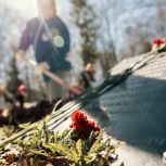 «Единая Россия» и «Волонтёры Победы» дали старт Международному субботнику: в России и за рубежом приведут в порядок 30 тысяч памятных мест