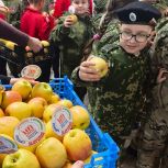 При поддержке «Единой России» в Родионово-Несветайском районе прошла просветительская акция «Корзина здоровья»