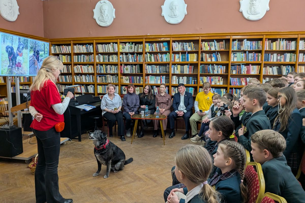 Там, где ждут человека. На Смоленщине стартовал сбор помощи для бездомных животных