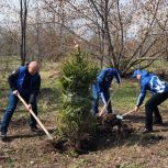 Ульяновские единороссы провели субботник в сквере Антонова