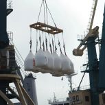 Развитие морского порта Архангельск остается одним из ключевых направлений экономической политики региона